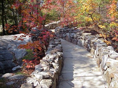 Autumn foliage along a rocky path