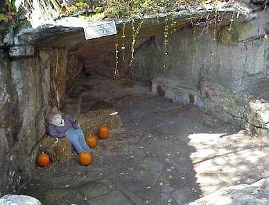 Shelter rock decorated for autumn